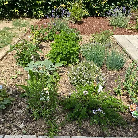 Origami Holiday home Limerle